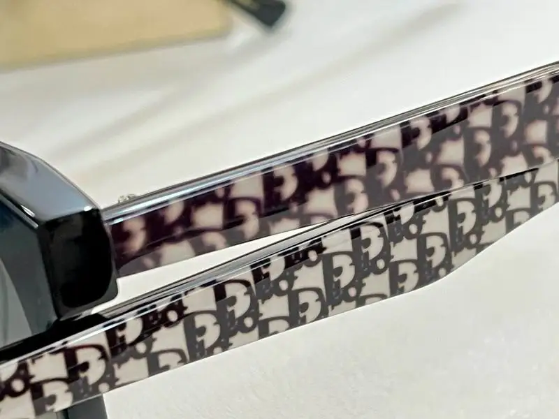 Dior Glasses smh (42)